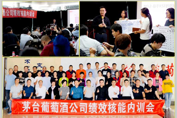 貴州茅臺葡萄酒公司-績效核能落