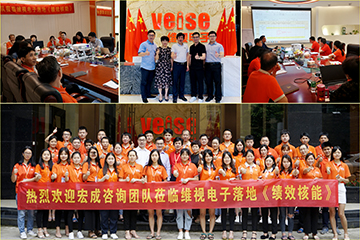 廣州維視電子（Veise）落地KSF/PPV薪